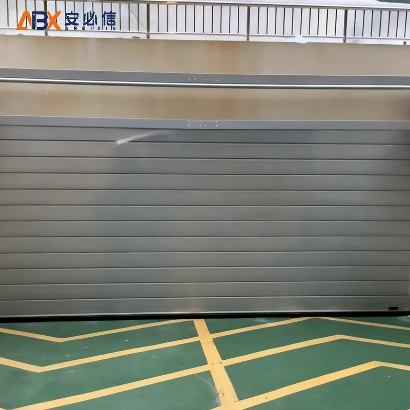 丽水市金属快速门